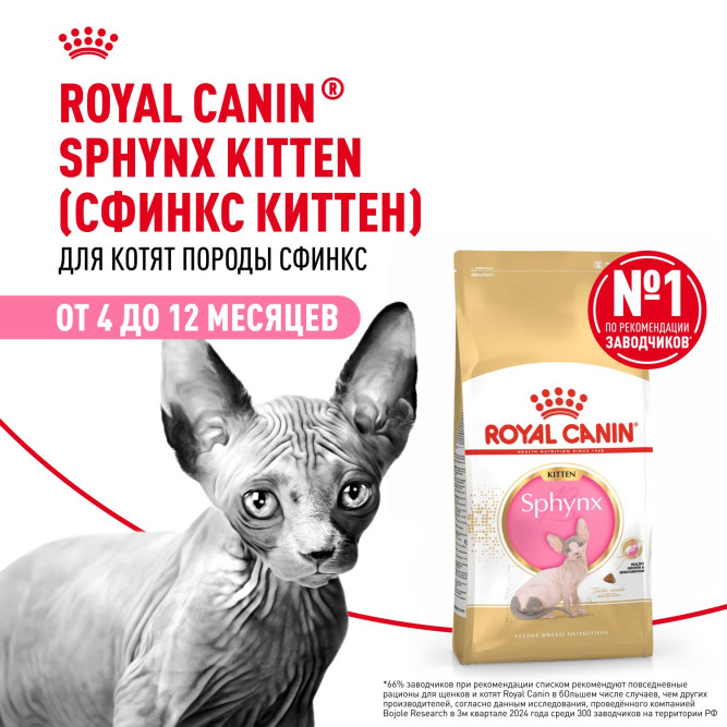 Royal Canin Sphynx Kitten сухой корм для котят пород Сфинкс до 12 месяцев - 2 кг