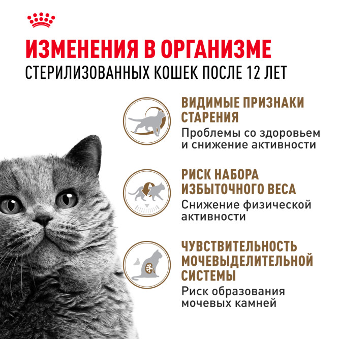 Royal Canin Ageing Sterilised 12+ сухой корм для стерилизованных стареющих кошек старше 12 лет - 400 г