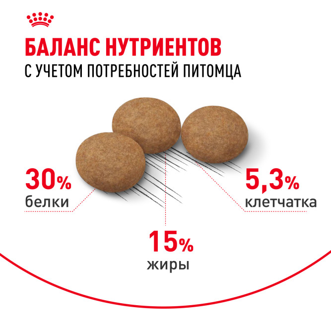 Royal Canin Ageing Sterilised 12+ сухой корм для стерилизованных стареющих кошек старше 12 лет - 400 г