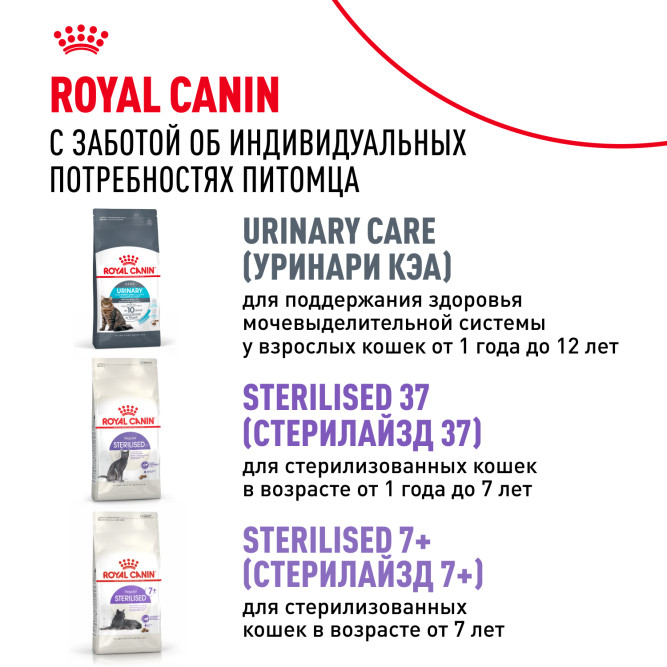 Royal Canin Ageing Sterilised 12+ сухой корм для стерилизованных стареющих кошек старше 12 лет - 400 г