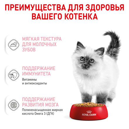 Royal Canin Kitten набор паучей для котят до 12 месяцев, в соусе; в желе - 85 г х 20 шт
