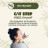 CAT STEP Olive Original наполнитель комкующийся растительный - 5 л