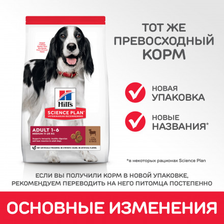 Сухой корм Hills Science Plan для взрослых собак средних пород для поддержания иммунитета, с ягненком и рисом - 12 кг