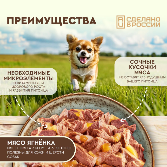 Chester влажный корм для взрослых собак всех пород, сочные кусочки мяса с ягненком в желе, в ламистерах - 100 г х 16 шт