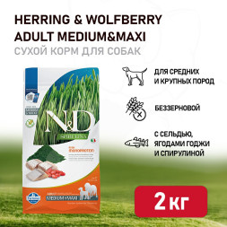 Farmina N&amp;D Dog Spirulina Herring &amp; Wolfberry Adult Medium&amp;Maxi сухой корм для взрослых собак средних и крупных пород, с сельдью и ягодами годжи - 2 кг