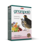 Изображение товара Padovan Granpatee Fruits корм для насекомоядных птиц комплексный фруктовый - 1 кг