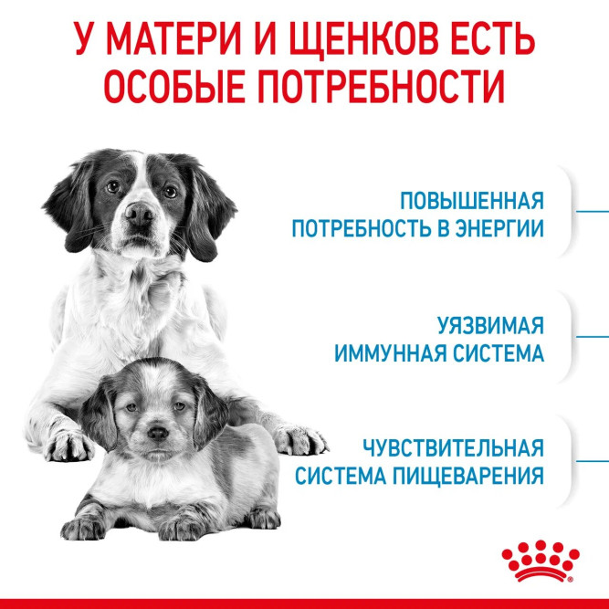 Royal Canin Medium Starter Mother Babydog для щенков средних размеров до 2-месяцев и сук в последней трети беременности и во время лактации - 4 кг