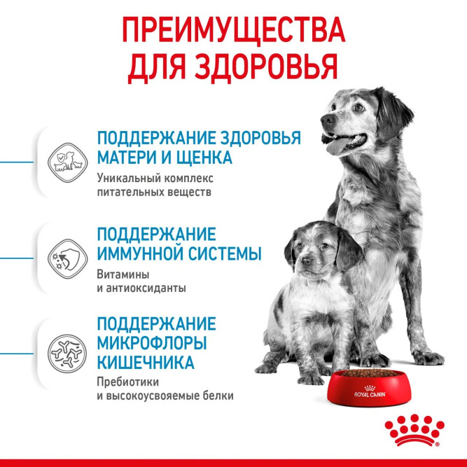 Royal Canin Medium Starter Mother Babydog для щенков средних размеров до 2-месяцев и сук в последней трети беременности и во время лактации - 4 кг