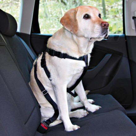 Автомобильный ремень безопасности Trixie со шлейкой для собак с обхватом туловища 30-60 см