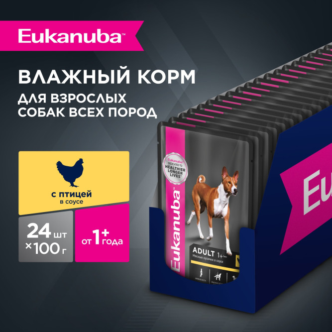 Влажный корм Eukanuba Adult Dog для собак с курицей в соусе в паучах - 100 г х 24 шт