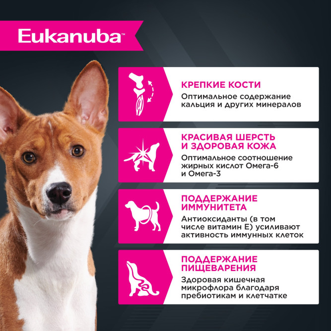Влажный корм Eukanuba Adult Dog для собак с курицей в соусе в паучах - 100 г х 24 шт
