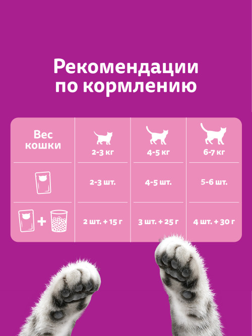 Whiskas Вкусные подушечки с нежным паштетом, сухой корм для взрослых кошек, Аппетитный обед с говядиной - 5 кг