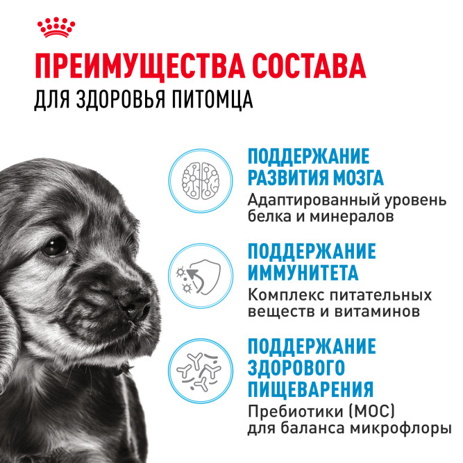 Royal Canin Mini Junior для щенков мелких пород с 2 до 10 месяцев - 2 кг