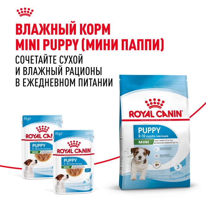 Royal Canin Mini Junior для щенков мелких пород с 2 до 10 месяцев - 2 кг