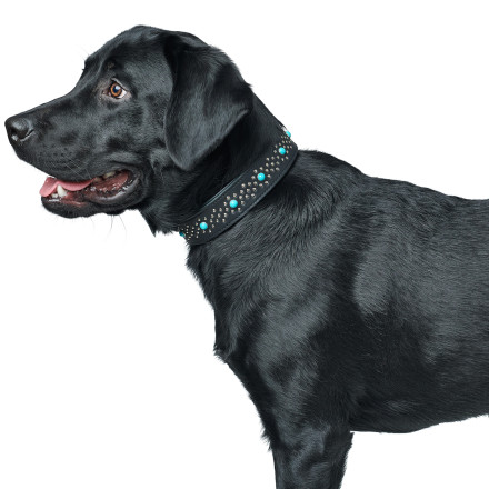 Hunter Madona M ошейник для собак, 35-45 см, натуральная кожа, черный, фурнитура с имитацией бирюзы