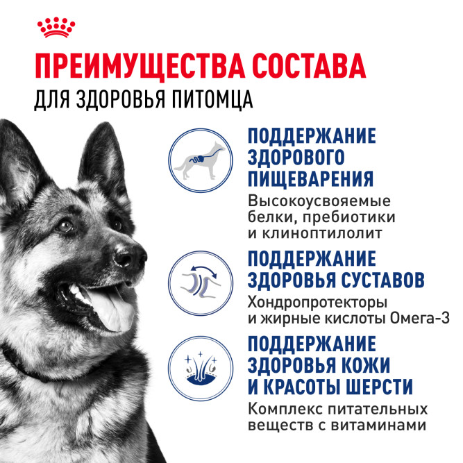 Royal Canin Maxi Adult сухой корм для взрослых собак крупных пород - 15 кг
