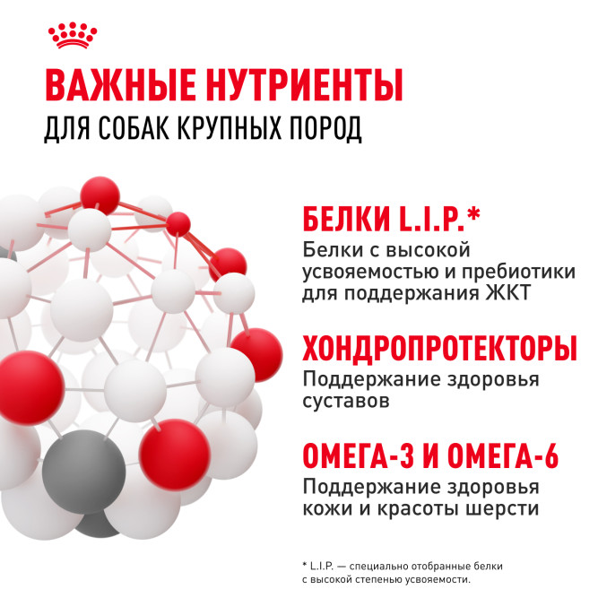 Royal Canin Maxi Adult сухой корм для взрослых собак крупных пород - 15 кг