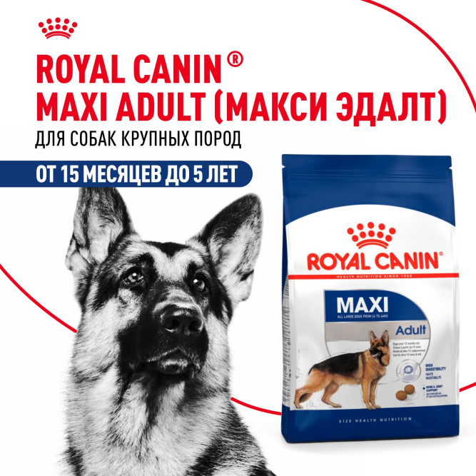 Royal Canin Maxi Adult сухой корм для взрослых собак крупных пород - 15 кг