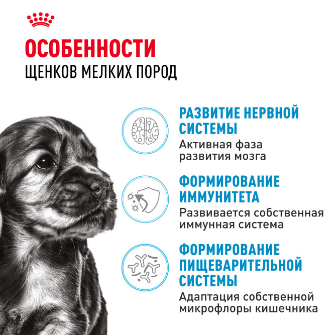 Royal Canin Mini Junior сухой корм для щенков мелких пород -4 кг