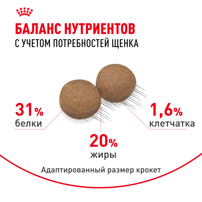Royal Canin Mini Junior сухой корм для щенков мелких пород -4 кг