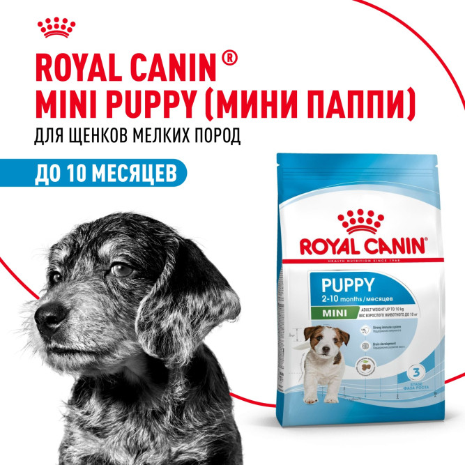 Royal Canin Mini Junior сухой корм для щенков мелких пород -4 кг