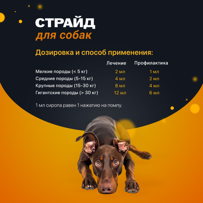 Страйд плюс кормовая добавка для собак для нормализации и поддержания функций опорно-двигательного аппарата - 200 мл