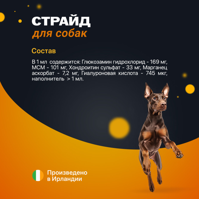 Страйд плюс кормовая добавка для собак для нормализации и поддержания функций опорно-двигательного аппарата - 200 мл
