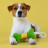Mr.Kranch игрушка для собак мелких и средних пород Косточка с канатом 31х9х4см, зеленая с желтым