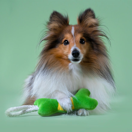 Mr.Kranch игрушка для собак мелких и средних пород Косточка с канатом 31х9х4см, зеленая с желтым