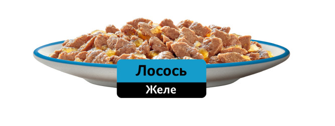 Whiskas влажный корм для взрослых кошек, желе с лососем, в паучах - 75 г х 28 шт