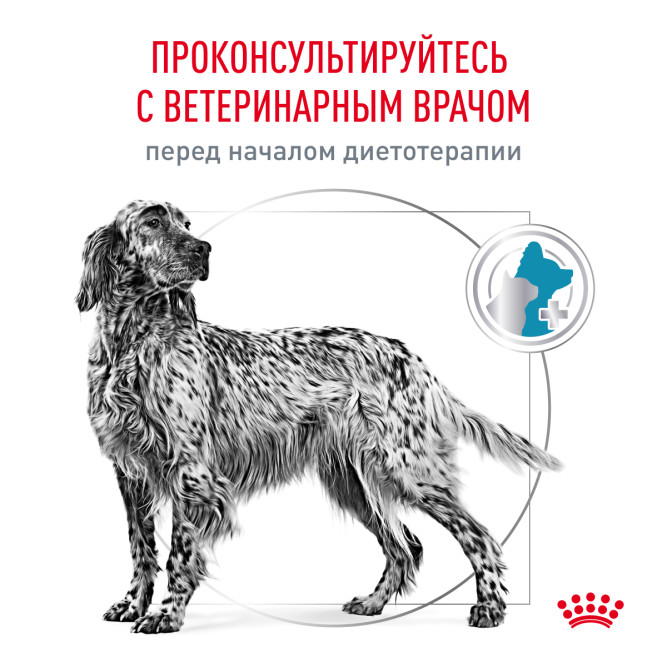 Royal Canin Hypoallergenic сухой диетический корм для взрослых собак всех пород при пищевой аллергии - 1,5 кг