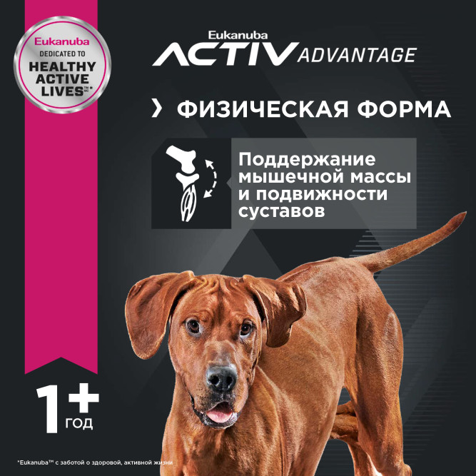 Сухой корм Eukanuba Adult Large Breed для собак крупных пород с курицей - 3 кг