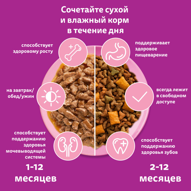 Whiskas влажный корм для котят от 1 до 12 месяцев, рагу с курицей, в паучах - 75 г х 28 шт