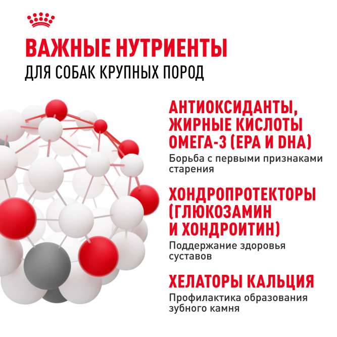Royal Canin Maxi Adult 5+ сухой корм для собак крупных пород старше 5 лет