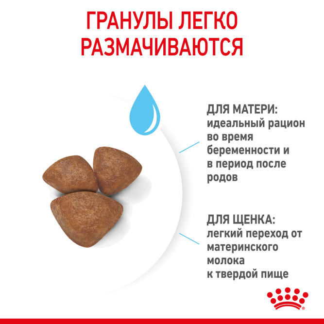Royal Canin Mini Starter Mother &amp; Babydog сухой корм для щенков, беременных и лактирующих сук мелких пород - 1 кг