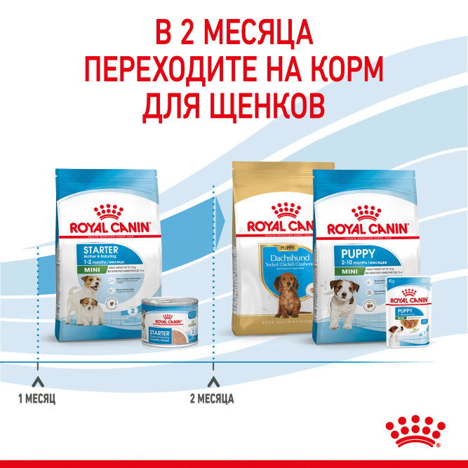 Royal Canin Mini Starter Mother &amp; Babydog сухой корм для щенков, беременных и лактирующих сук мелких пород - 1 кг