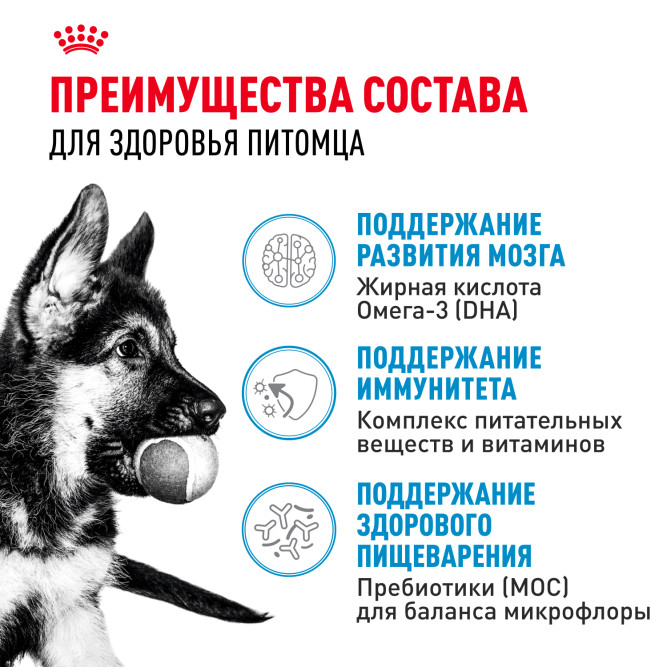 Royal Canin Maxi Puppy сухой корм для щенков крупных пород - 3 кг