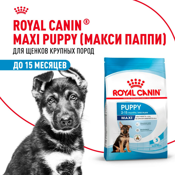 Royal Canin Maxi Puppy сухой корм для щенков крупных пород - 3 кг
