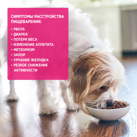 Сухой диетический корм для собак Hills Prescription Diet Gastrointestinal Biome при расстройствах пищеварения и для заботы о микробиоме кишечника, c курицей - 1,5 кг