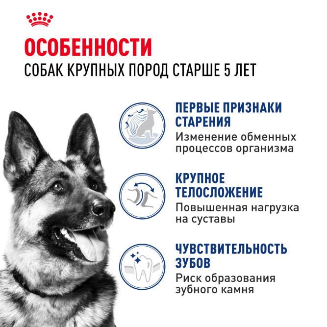 Royal Canin Maxi Adult 5+ для взрослых собак крупных размеров в возрасте от 5 до 8 лет - 4 кг