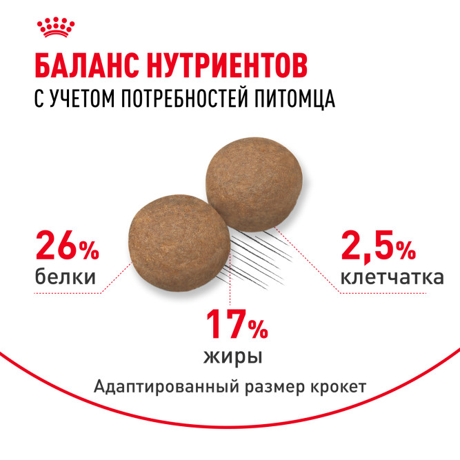 Royal Canin Maxi Adult 5+ для взрослых собак крупных размеров в возрасте от 5 до 8 лет - 4 кг