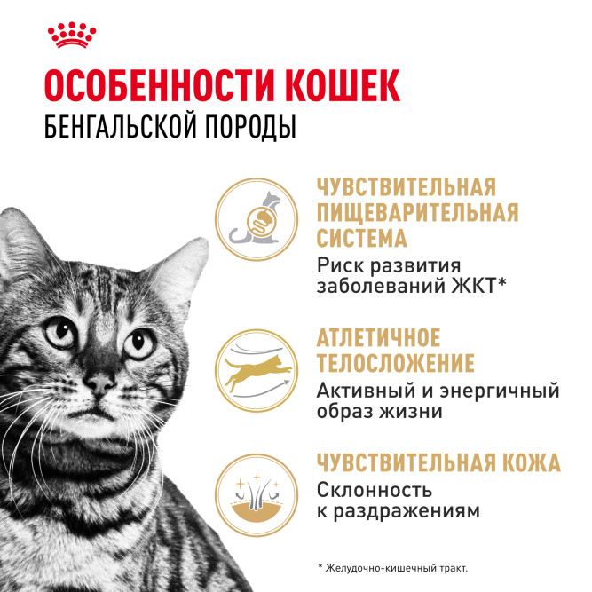 Royal Canin Bengal сухой корм для взрослых бенгальских кошек - 400 г