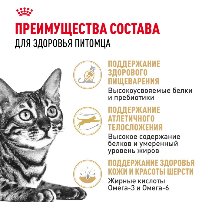 Royal Canin Bengal сухой корм для взрослых бенгальских кошек - 400 г