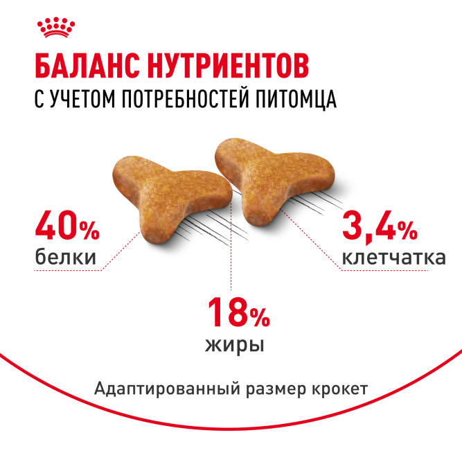 Royal Canin Bengal сухой корм для взрослых бенгальских кошек - 400 г