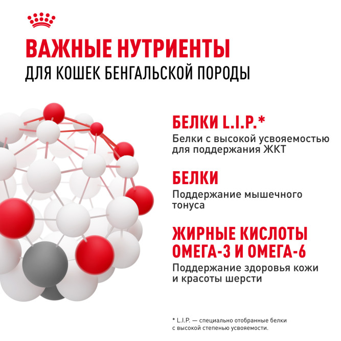 Royal Canin Bengal сухой корм для взрослых бенгальских кошек - 400 г