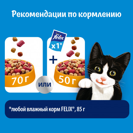 Сухой корм Felix Двойная вкуснятина для кошек с птицей - 750 г