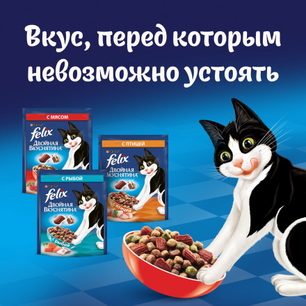Сухой корм Felix Двойная вкуснятина для кошек с птицей - 750 г