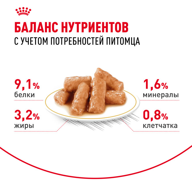 Royal Canin British Shorthair Adult влажный корм для взрослых британских короткошерстных кошек в соусе, в паучах - 85 г х 28 шт