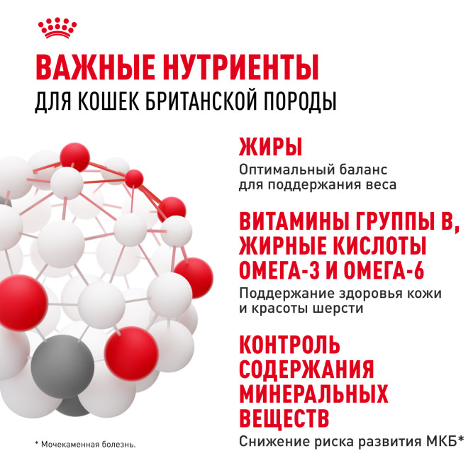 Royal Canin British Shorthair Adult влажный корм для взрослых британских короткошерстных кошек в соусе, в паучах - 85 г х 28 шт