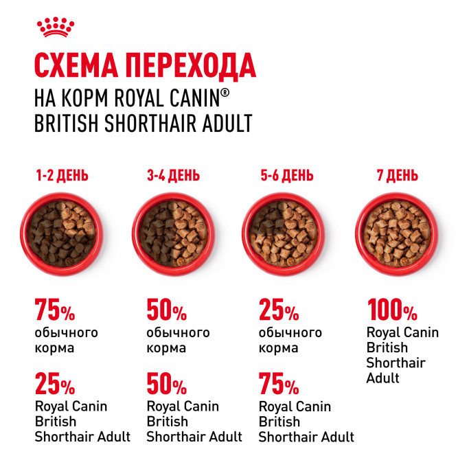 Royal Canin British Shorthair Adult влажный корм для взрослых британских короткошерстных кошек в соусе, в паучах - 85 г х 28 шт